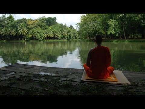 Sunday Dhamma Sermon|03|Avijja Sutta - 02|Ven Panadure Chandaratana Thero|2020-09-27