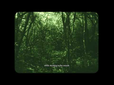 Trailer | The Eyes in the Woods and the Taste in the Water | Luciana Mazeto, Vinícus Lopes