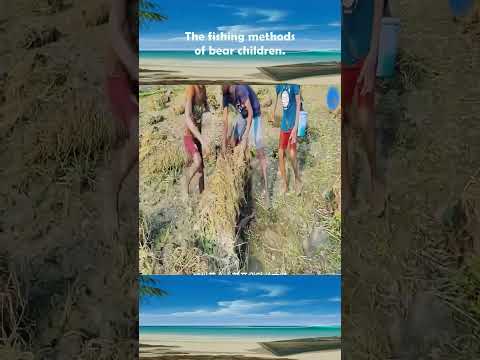 Casting Net Story #   034