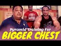 Pyramid training for bigger CHEST
