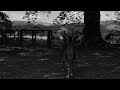 RajahWild - Ghost (Official Music Video)