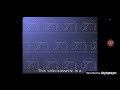 Paramount Feature Presentation Viacom Demo Tape