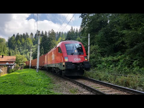 Rail Traffic in Predeal, Romania  / Trafic Feroviar in Predeal | August 2018