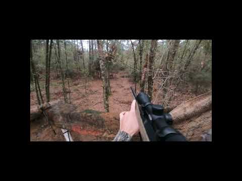 BULLET PERFORMANCE ON DEER.