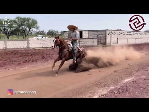 E7P2 - Nuevos Talentos En Cala - Gerardo González