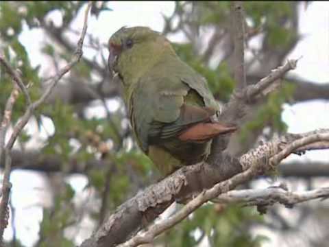 DIE LETZTEN PARADIESE - Patagonien Folge III