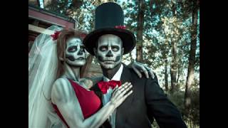 Vampires and Zombies a Love I Needed