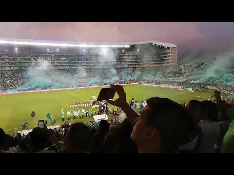 "Final Copa Ãguila 2019 Salida A La Cancha Deportivo Cali 2 vs Independiente Medellin 2" Barra: Frente Radical Verdiblanco • Club: Deportivo Cali