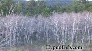 Ask Your Money Angel - Manifest Money Hypnosis Video