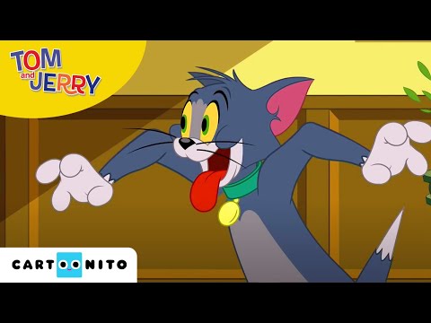 Tom und Jerry | Hundstage | Cartoonito