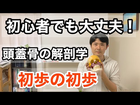 スフィンクスの頭蓋骨 - 定義