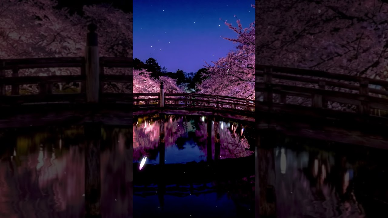 Relaxing Piano Music for Deep Sleep 🌸 Cherry Blossom Night Ambience