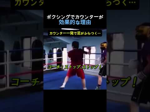 カウンターが重要な理由 #ボクシング