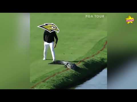 15-seed Oral Roberts Golden Eagles advance to Sweet 16 after shocking 7-seed Florida Gators