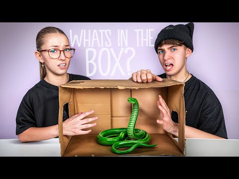 WHAT'S IN THE BOX CHALLENGE 🐍🎁 with @mexify 😟