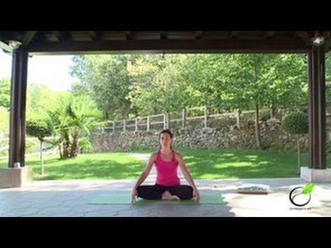download lagu mp3 mp4 Clases De Yoga En Medellin, download lagu Clases De Yoga En Medellin gratis, unduh video klip Download Clases De Yoga En Medellin Mp3 dan Mp4 Music Online Gratis