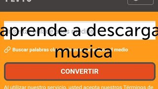 Descarga musica en flvto