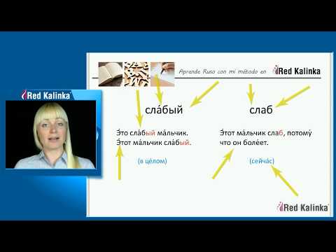 Adjetivos cortos y largos en ruso. ¿Cuándo se usan?