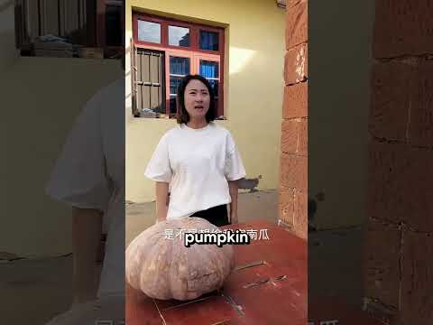 Tricked with Pumpkin 😱😭 #shorts