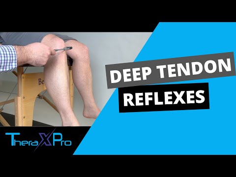 Deep Tendon Reflexes