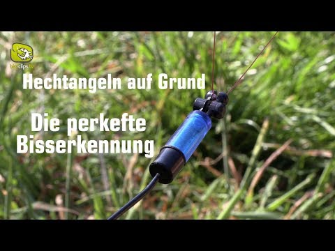 Die perfekte Bissanzeige beim Hechtangeln auf Grund mit Köderfisch