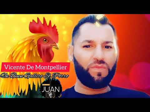 Vicente De Montpellier Un Buen Gallero 2020 Tema Dedicado Para El Porro 2