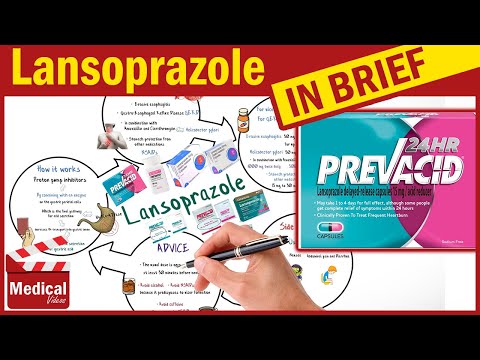 Lansoprazole ( Prevacid ): What is Lansoprazole Used For, Dosage, Side Effects & Precautions?