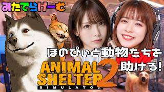 アニマルシェルター2ライブ配信！ほのぴぃと犬猫シェルターを経営する〈Animal Shelter 2/steam版〉