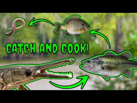 Fishing My Way Up the Food Chain… Then Eating It!