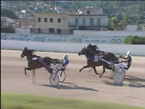 Trotto 21/06/2018 - 5ª corsa