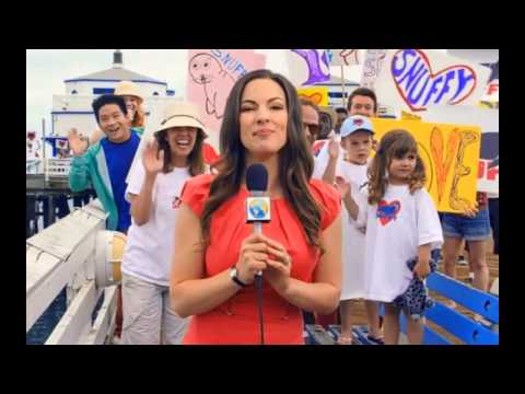 SHARK WEEK 2013 Promo