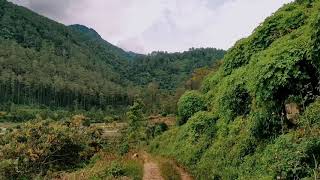 Download lagu Story Wa pemandangan Alam||Story wa terbaru mp3 Download lagu Story Wa pemandangan Alam||Story wa terbaru mp3