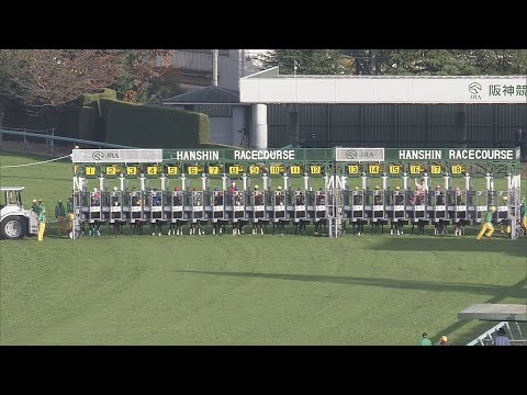 2020 Queen Elizabeth II Cup (G1)