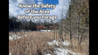 Foraging Safely: Know the Area You Are In!
