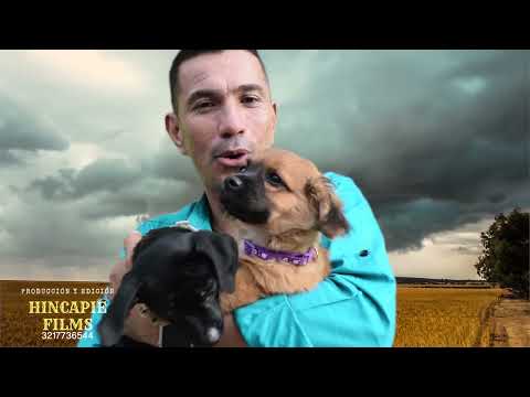 MI MEJOR RECUERDO - IVÁN CARRERA vídeo oficial 