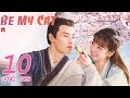ENG SUB [Be My Cat] EP10 | Fantasy Costume Romantic Drama | starring: Tian Xi Wei, Kevin Xiao