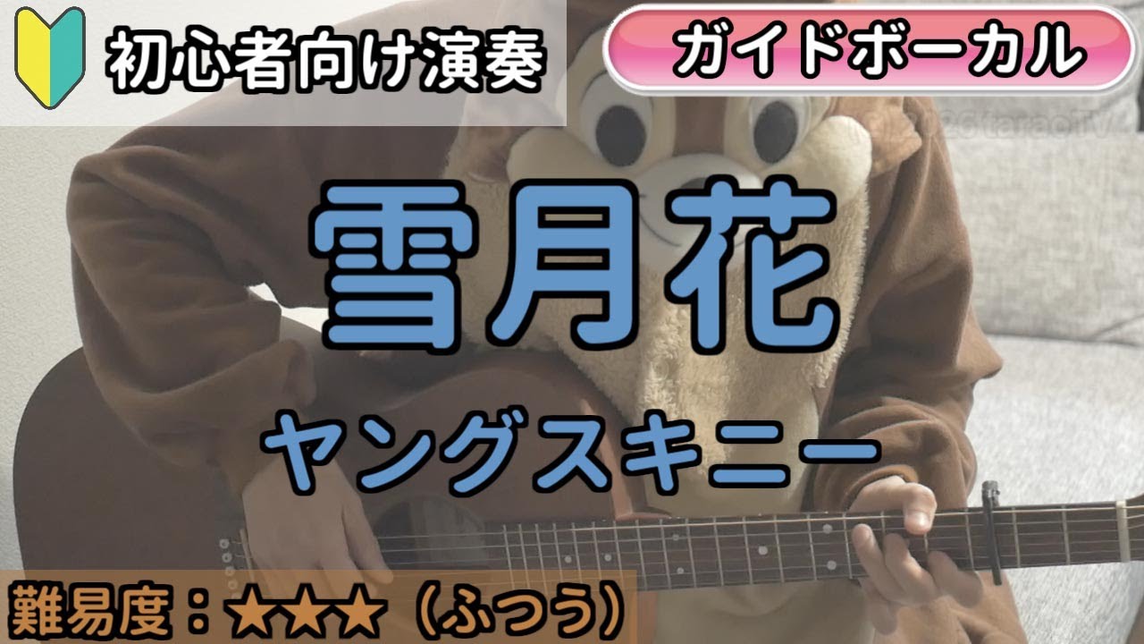 （初心者向け）雪月花／ヤングスキニー／ギター弾き語り練習用動画（コード／ストローク／歌詞／歌）