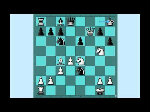 Čudesni napad !!! E da i vi tako napadate ? ERDOS vs LICHTNER # 1564