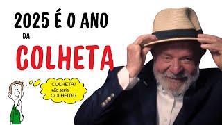 Entenda Por Que a Economia Brasileira Está à Beira do Colapso