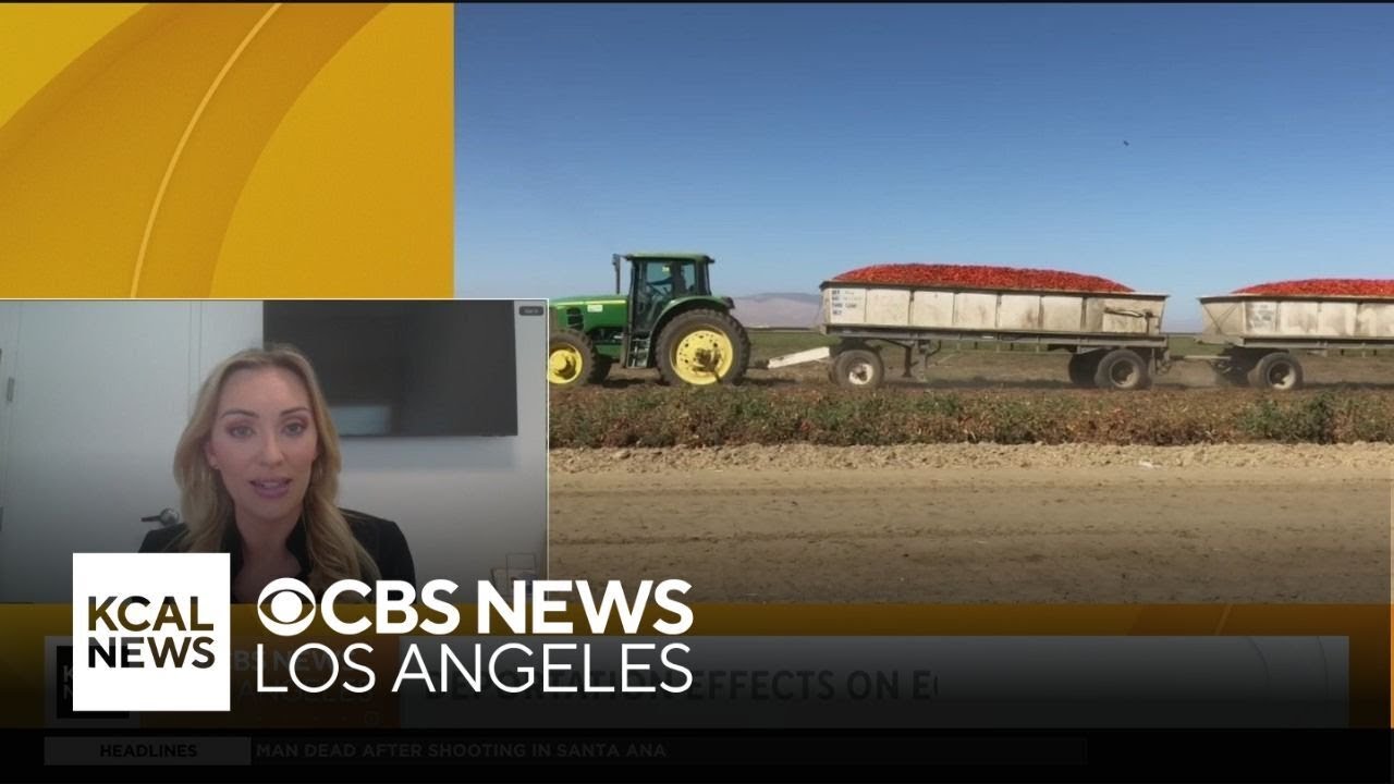 A look at how mass deportations could impact the economy and food costs