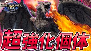 【ソロ大剣】現状最強モンスターになった強化個体ヌシリオレウスさん【モンスターハンターライズ】