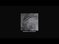 Lana Del Rey Yes To Heaven Slowed Reverb