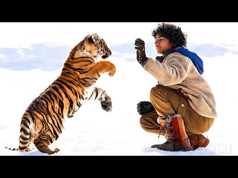 LE NID DU TIGRE Bande Annonce (2023) Aventure