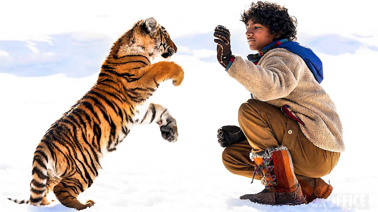 LE NID DU TIGRE Bande Annonce (2023) Aventure