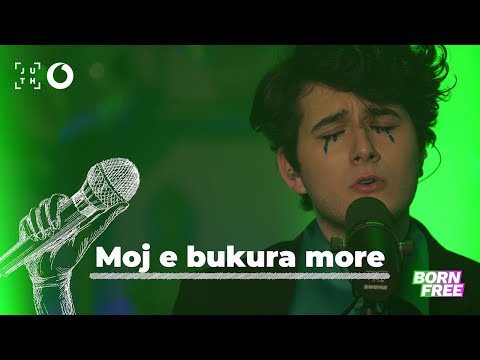 Gjon's Tears - Moj e bukura more | A•Live•Night - 4K