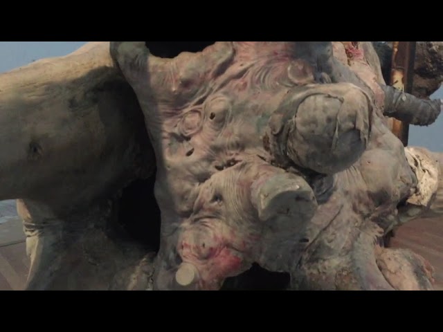 &#169;video: Hans Theys