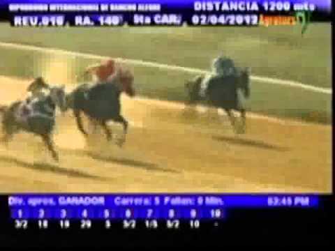 Resumen Lunes, 02 de Abril de 2012 - Rancho Alegre