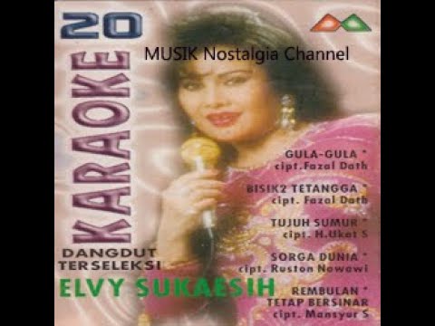 ELVY SUKAESIH -- TAK MUNGKIN