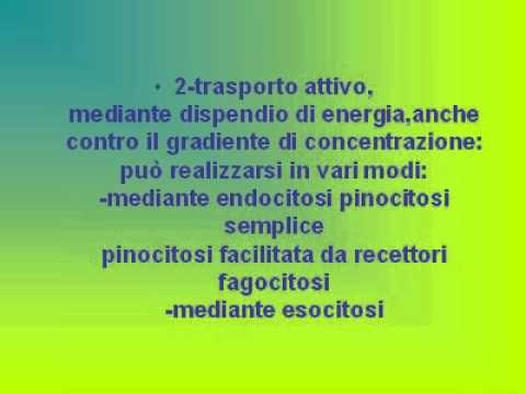 Come sbarazzarsi di acido urico nelle articolazioni Riabilitazione termine dopo una frattura del gomito