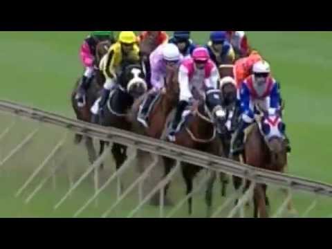 KRA GUINEAS (Grade 2) 2013